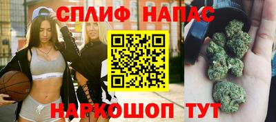 гашик Вязьма