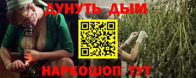 гашик Вязьма